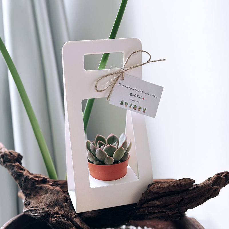 Kraft Paper Box - New Double Sided Water Proof Kraft