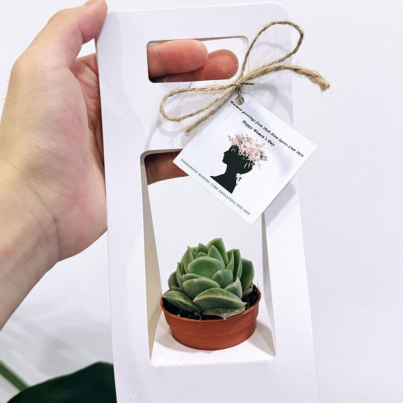 New Double Sided Water Proof K - огляд і ціна Kraft Paper Box